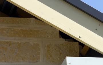 soffit repair Plaxtol